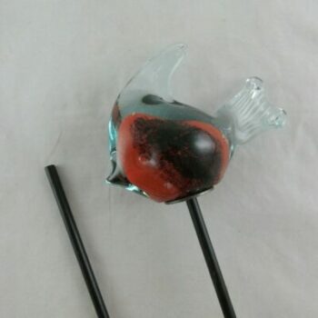Maanvis glas zwart/rood tuinsteker 9x9cmH